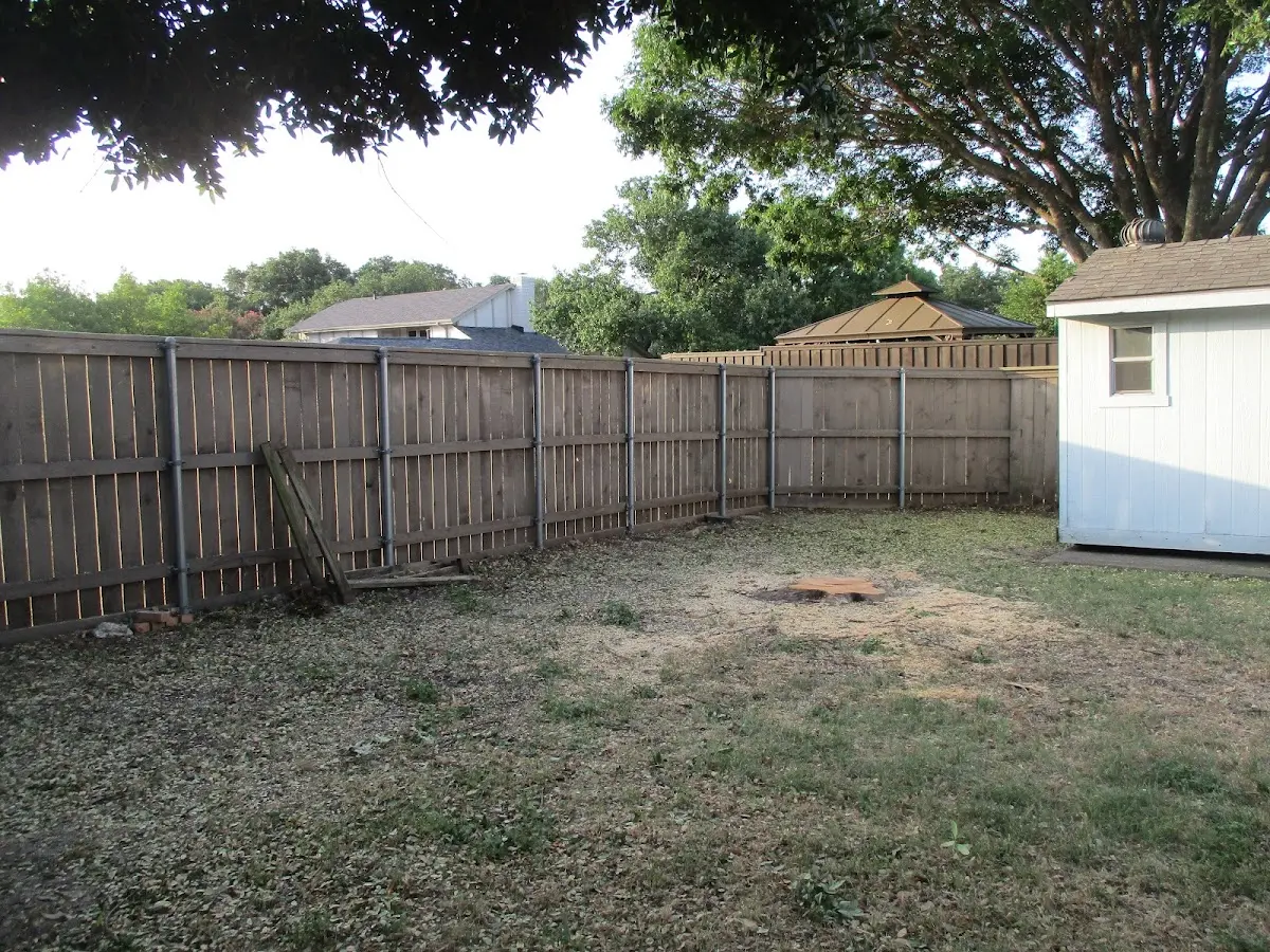 Cleared yard after professional tree removal in Gordonsville