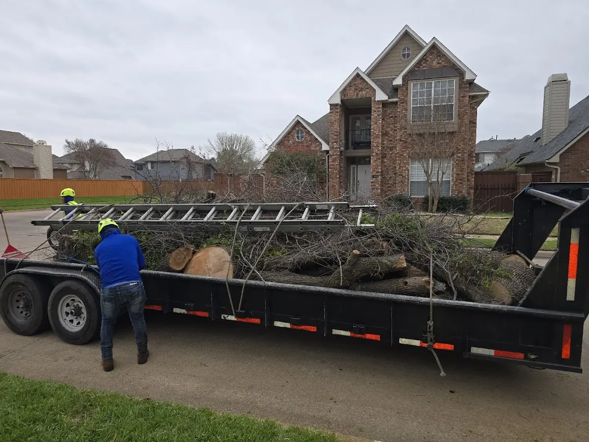 Expert Tree Fertilization with proper safety equipment in Gordonsville